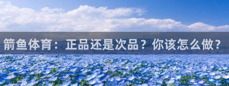 尊龙官方正版app开户:箭鱼体育:正品还是次品?你该怎么做?