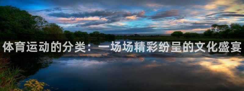 尊龙官方正版app新能源:体育运动的分类:一场场精彩纷呈的文