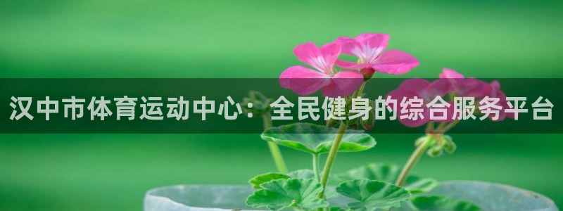 尊龙官方正版app科技:汉中市体育运动中心:全民健身的综合服