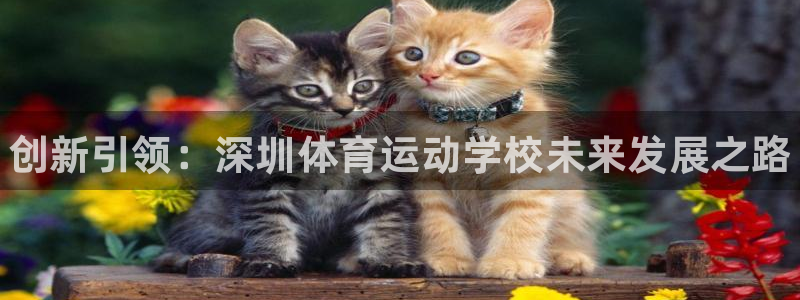 尊龙官网下载招商电话是多少号码:创新引领:深圳体育运动学校未