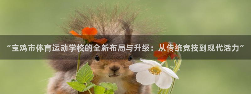 尊龙官网下载招商电话号码是多少啊:“宝鸡市体育运动学校的全新