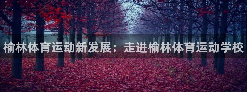 尊龙官网下载招商电话号码:榆林体育运动新发展:走进榆林体育运